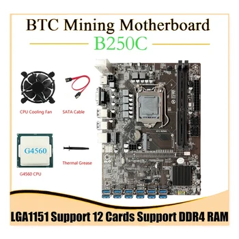 B250C BTC Madencilik Anakart + G4560 CPU + SATA Kablosu + Soğutma Fanı 12GPU PCIE USB3. 0 Yuvası LGA1151 Destekler DDR4 RAM