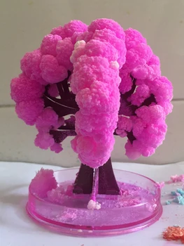 2 ADET / GRUP ıWish 10x8 cm Sihirli Büyüyen Ağaç İnanılmaz Büyümek Kağıt Sakura Kristal Ağaçları Japonya Masaüstü Kiraz Çiçeği Oyuncaklar Çocuklar İçin