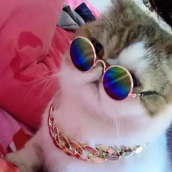 Pet Güneş Gözlüğü takı seti Metal Kedi Güneş Gözlüğü Şık Pet Kedi Köpek Güneş Gözlüğü Kolye Hasır Fotoğraf Sahne Kostüm Aksesuarları
