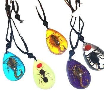 Yapay Amber Böcek Taş Gerçek Akrep Numune Kolye Kolye Ev Dekorasyon Parti sevgililer Günü Yaratıcı Hediye