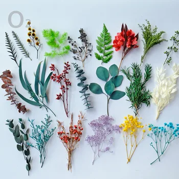 Gerçek Doğal Kurutulmuş Çiçek Kuru Bitkiler Yapımı El Sanatları DIY Renkli Aromaterapi Mum Epoksi Reçine Takı Ev Odası Dekorasyon İçin